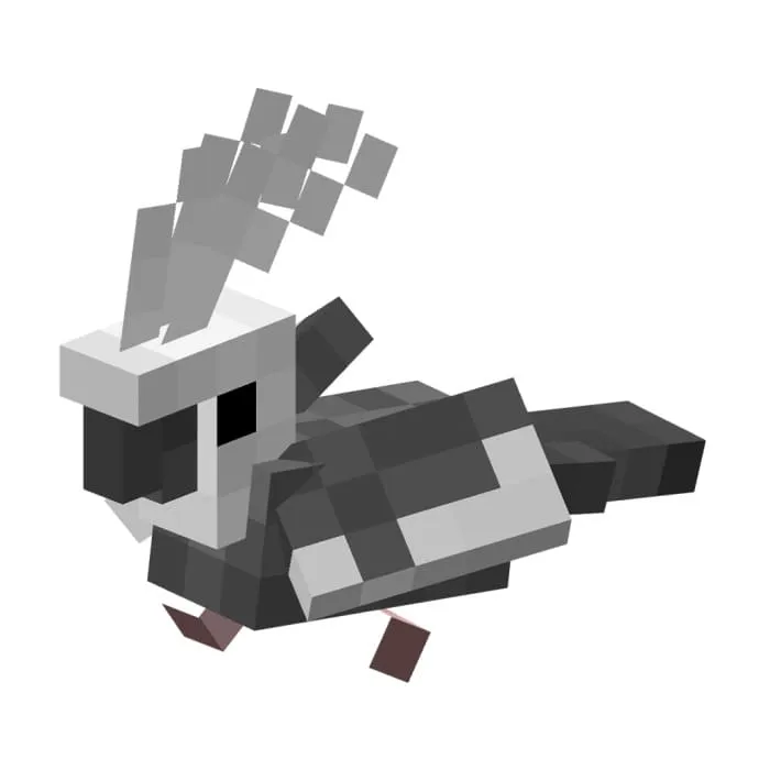 Попугай Корелла в бело-серых цветах