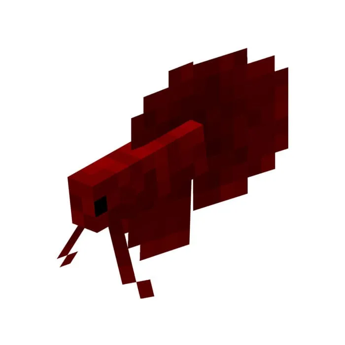 Красная бойцовая рыбка