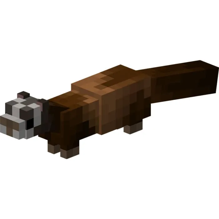 Коричневый хорек