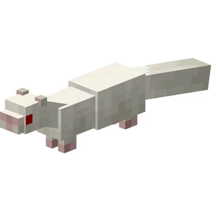 Белый хорек с красными глазами