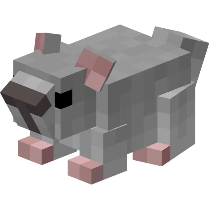 Светло серая шиншила