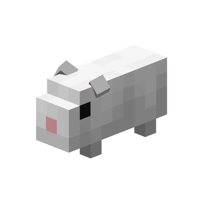 Белая морская свинка