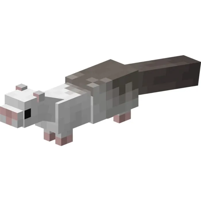 Бело-серый хорек