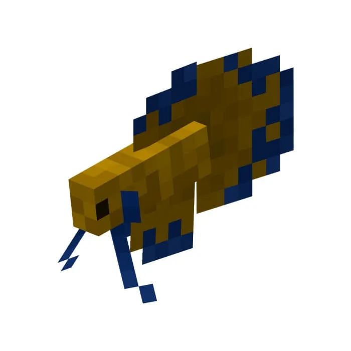 Коричнево-синяя бойцовая рыбка