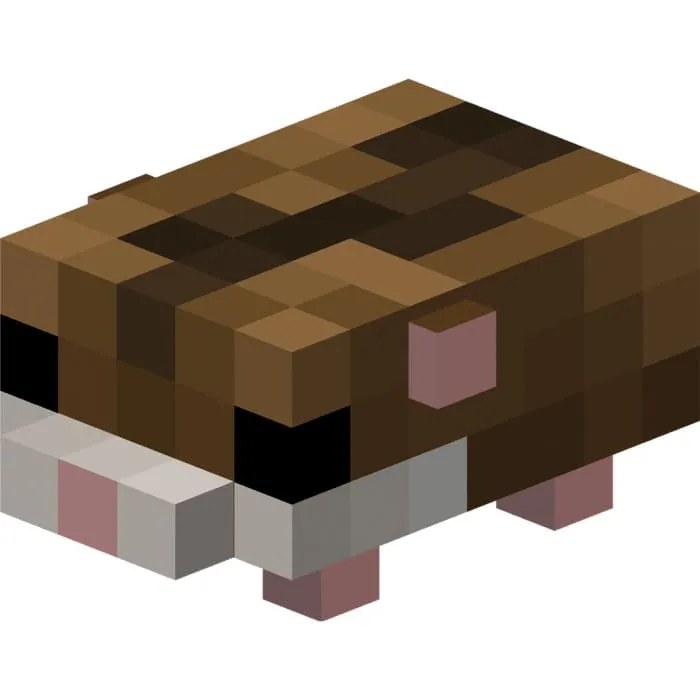 Коричневый хомячок