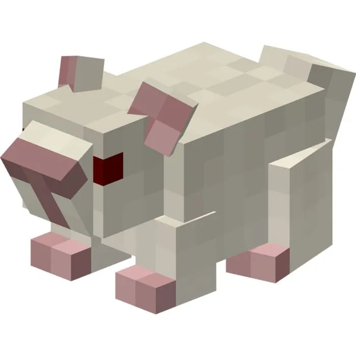 Белая шиншила