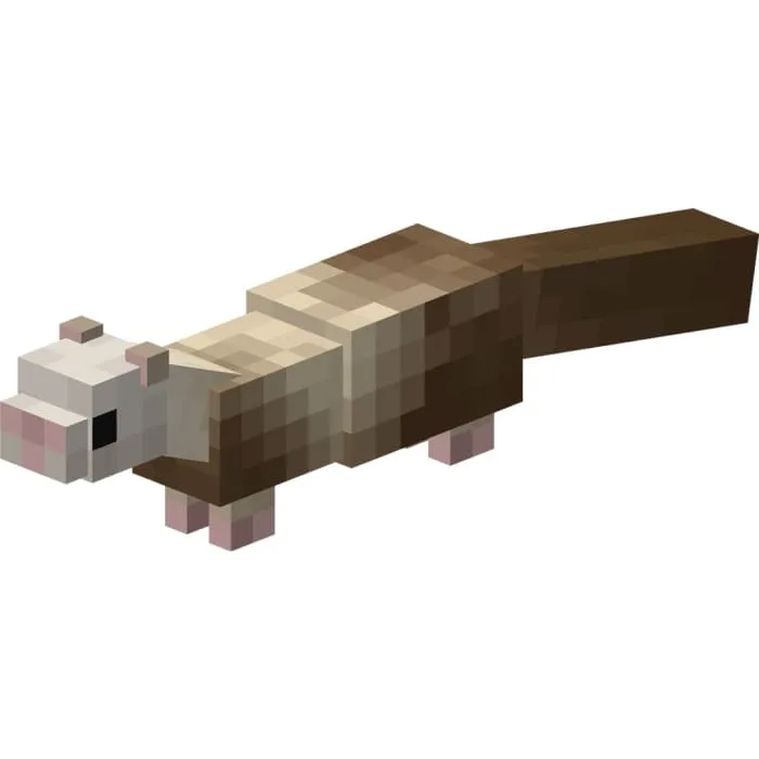 Светло-коричневый хорек