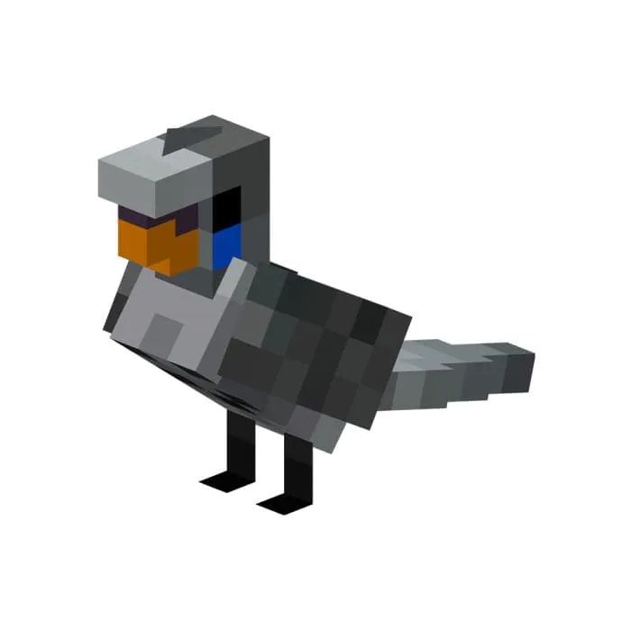 Серый попугайчик