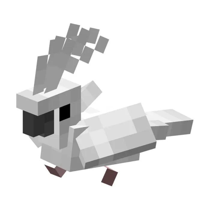 Белый попугай Корелла