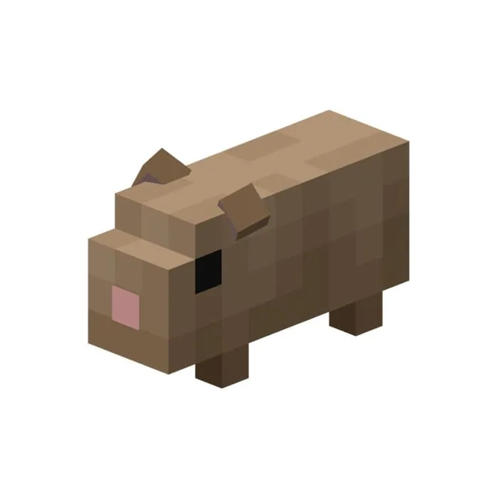 Коричневая морская свинка