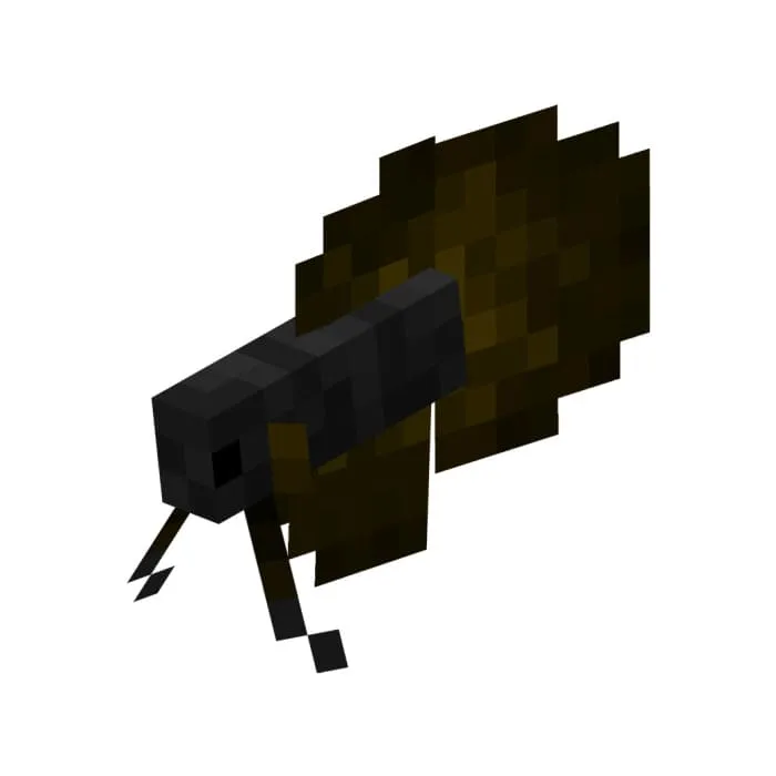 Черная бойцовая рыбка