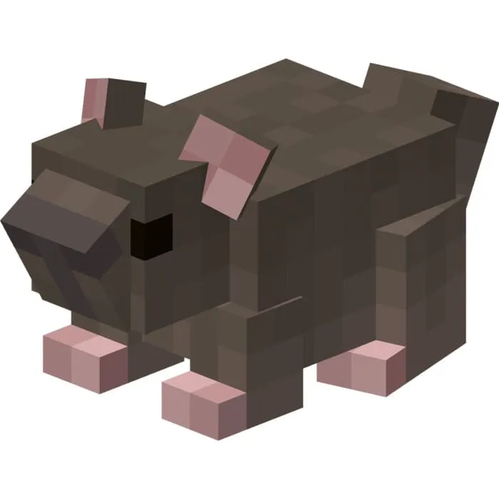 Коричневая шиншила