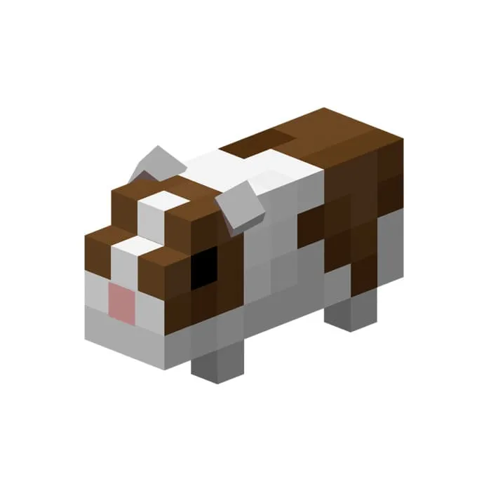 Пятнистая морская свинка