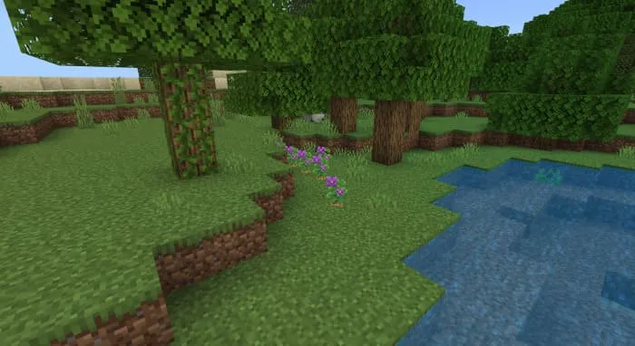 Кусты картофеля