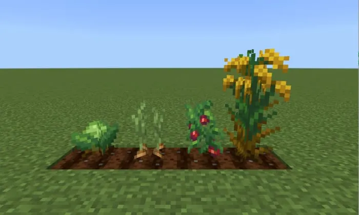 Новые культуры]