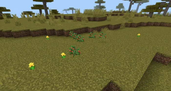 Дикие помидоры