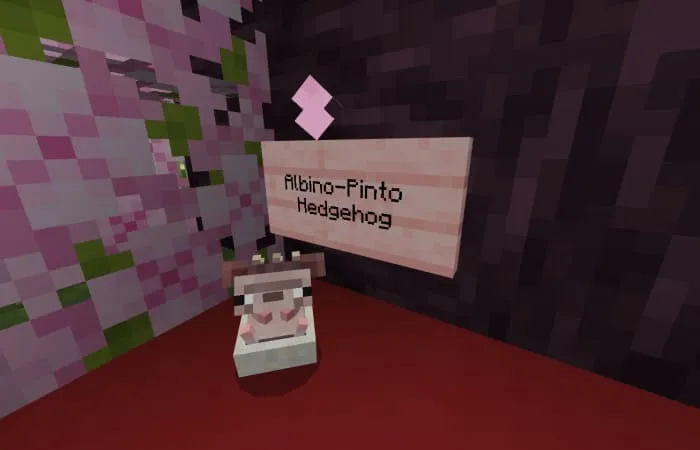 Шоколадный ежик