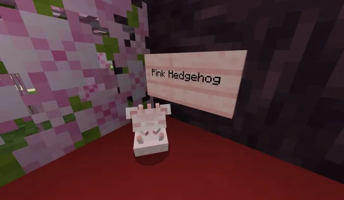 Розовый ежик