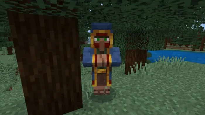 Вид странствующего торговца