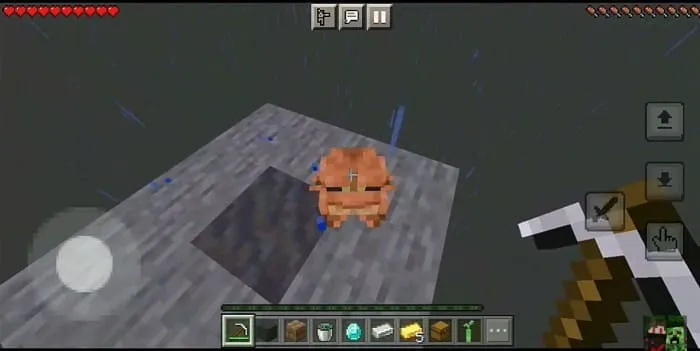 Лягушка на блоке