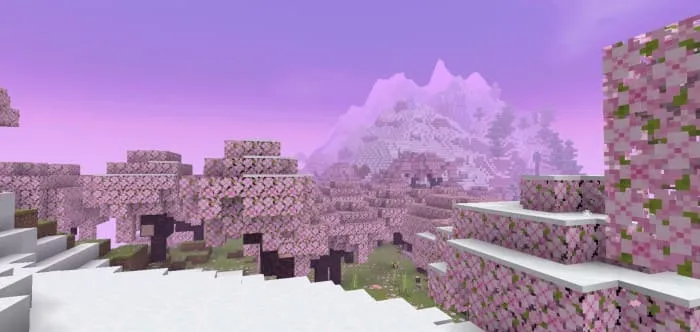 Вид вишневого леса