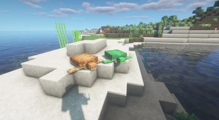 Вид черепах