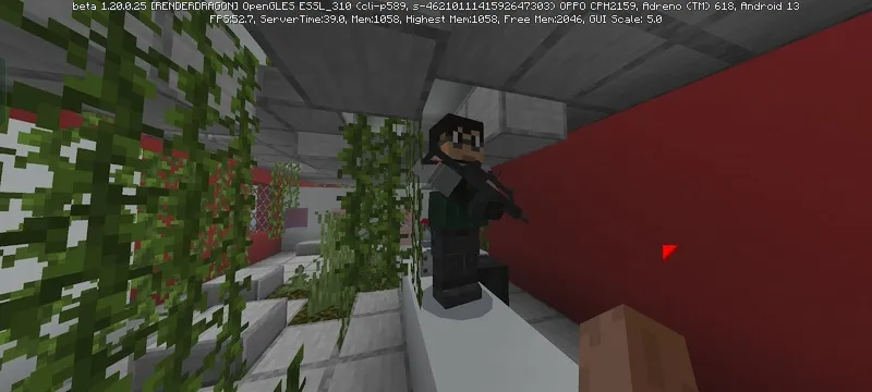 Вид бандита