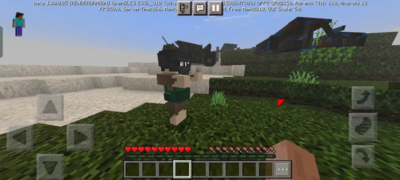 Вид солдата