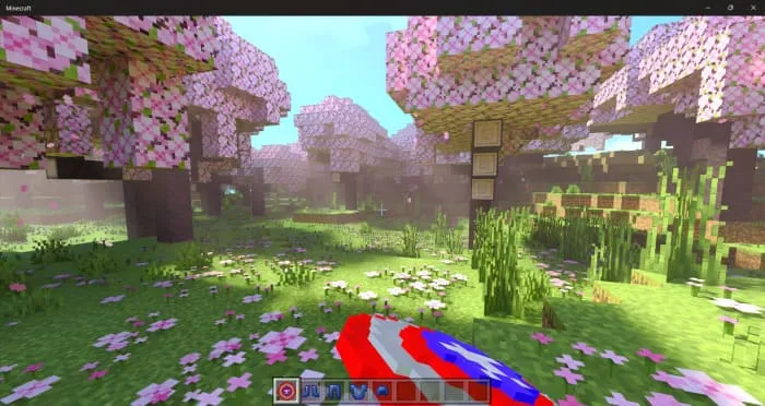 Игрок атакует щитом