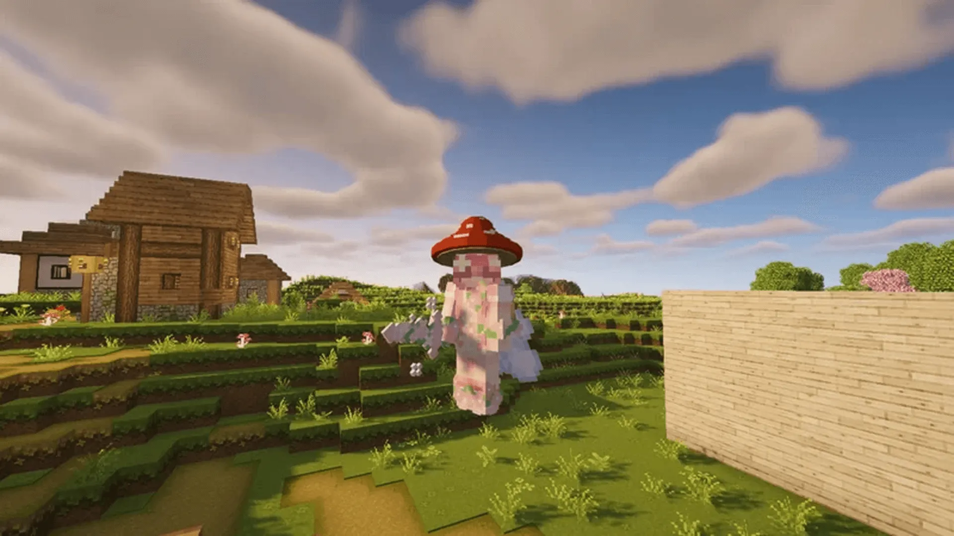 Вид от третьего лица