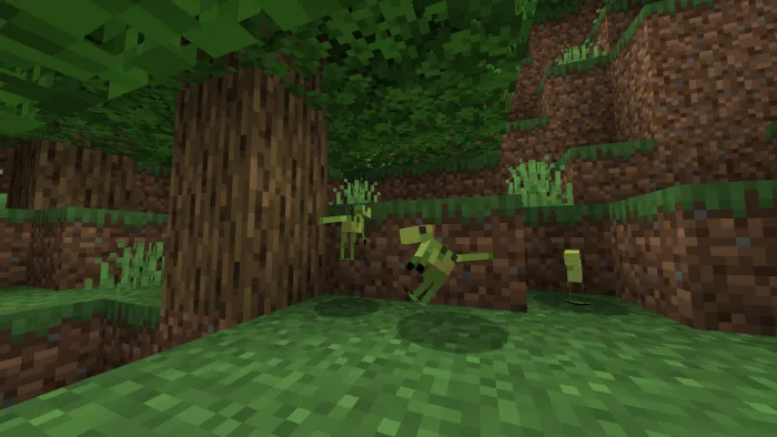 Вид копсогнатуса