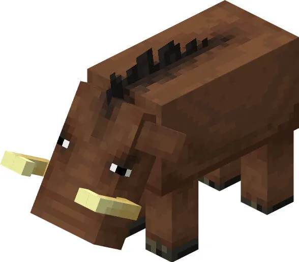 Бородавочник