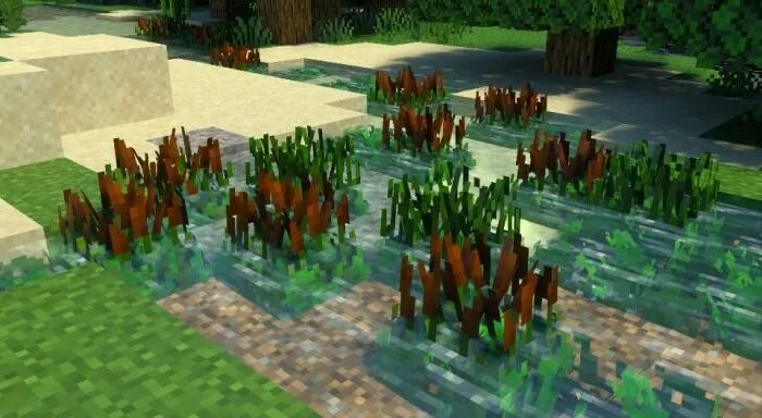 Морская трава