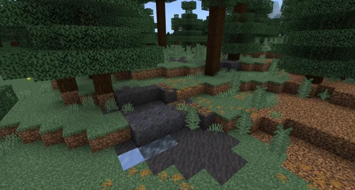 Листва, грязь и лед