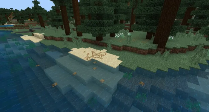 Опавшая листва в Тайге