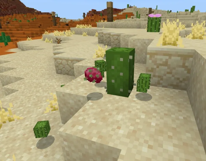 Драконий фрукт