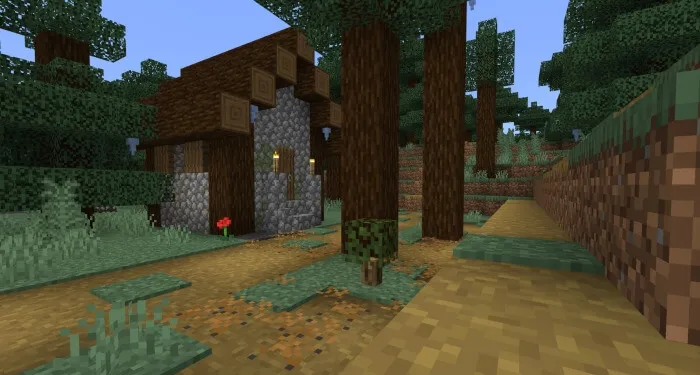 Опавшая листва возле дома