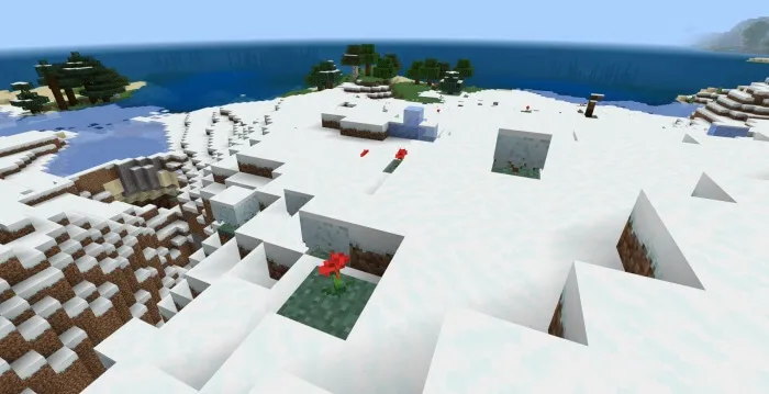 Цветы в снежных равнинах