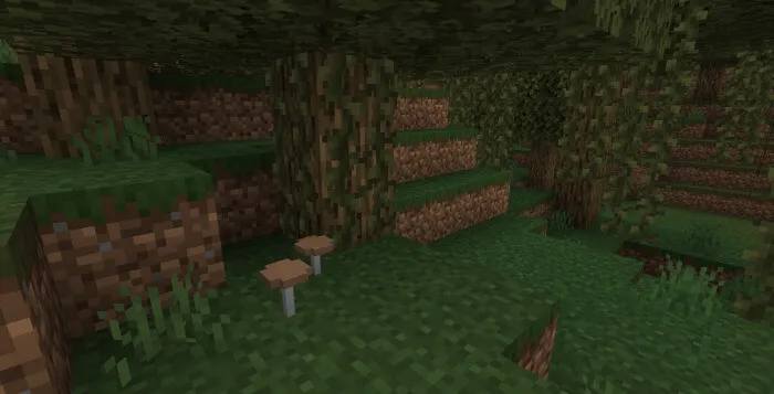 Коричневые грибы