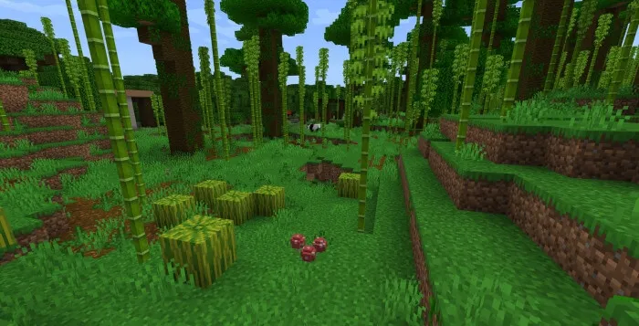 Блоки в джунглях