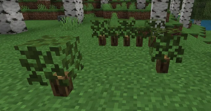 Маленький кустарник