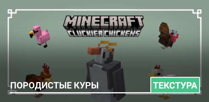 Текстуры: Породистые куры