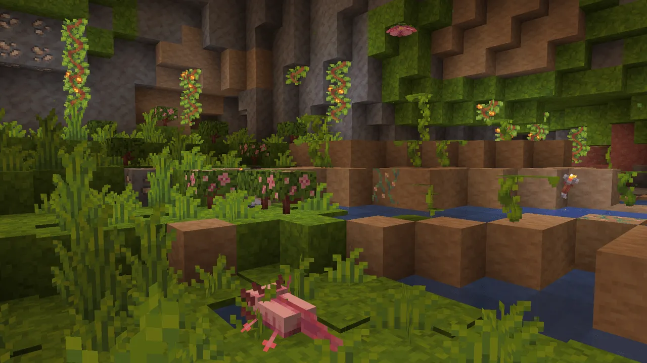 Вид джунглей