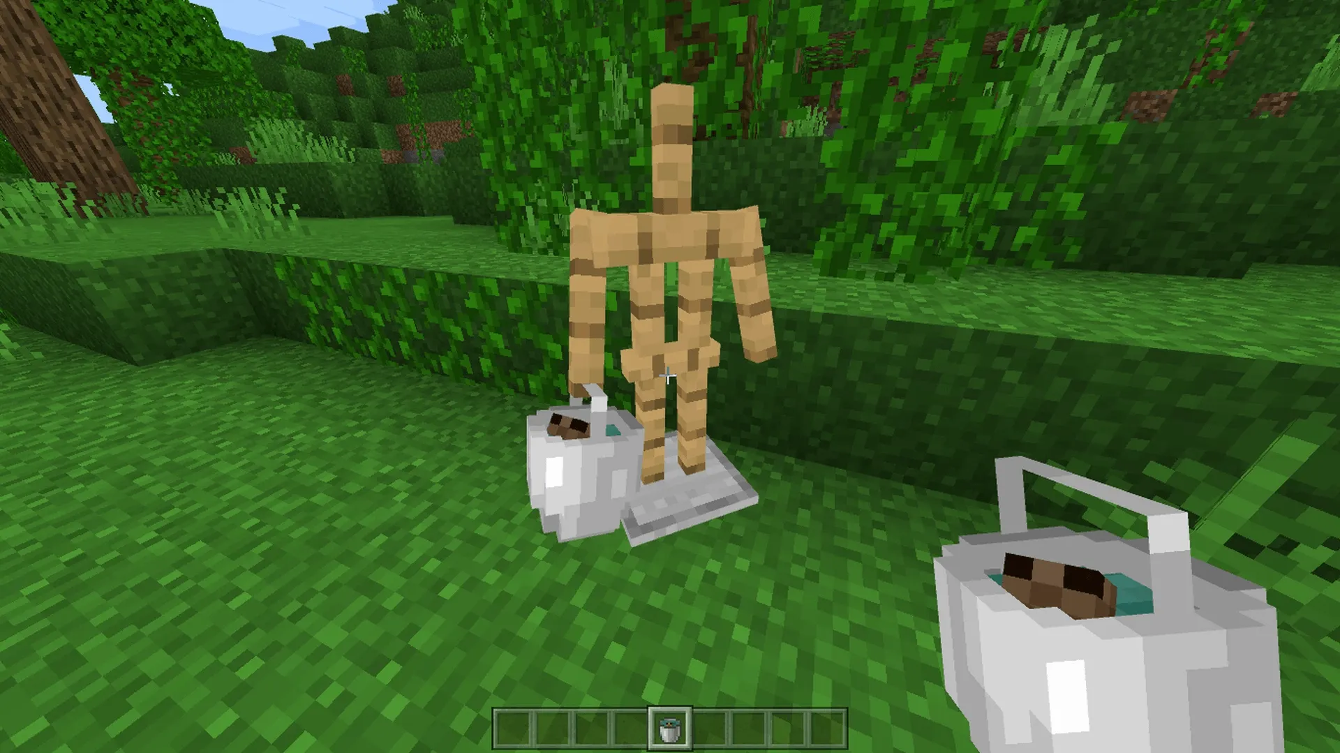 Ведро с аксолотлем