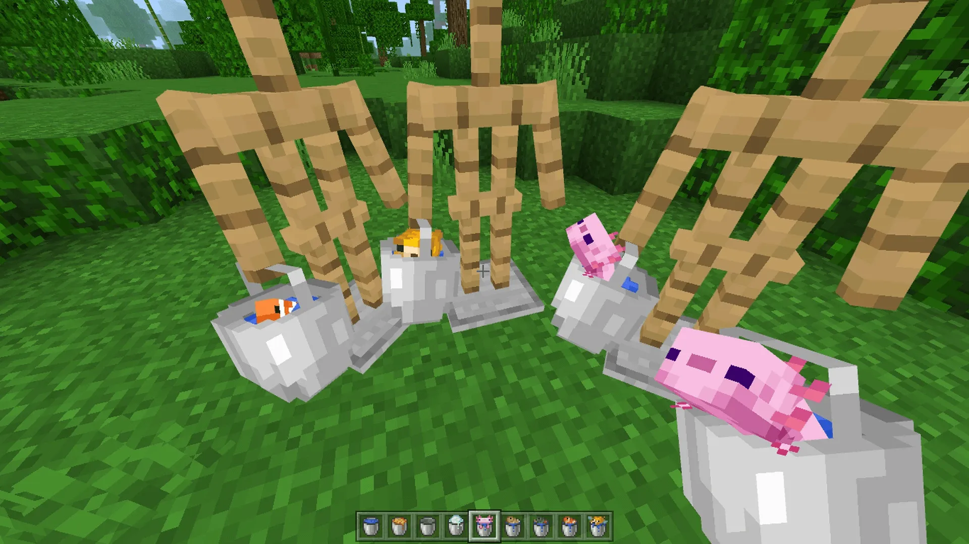 Маникен с ведрами аксолотлеми