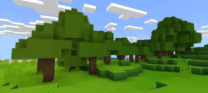 Вид деревьев