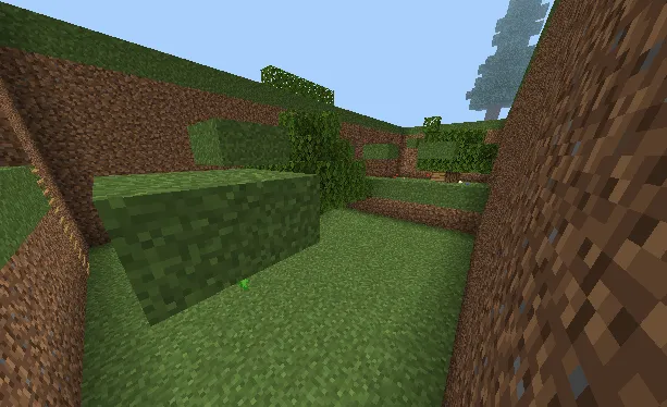 Уровень лес