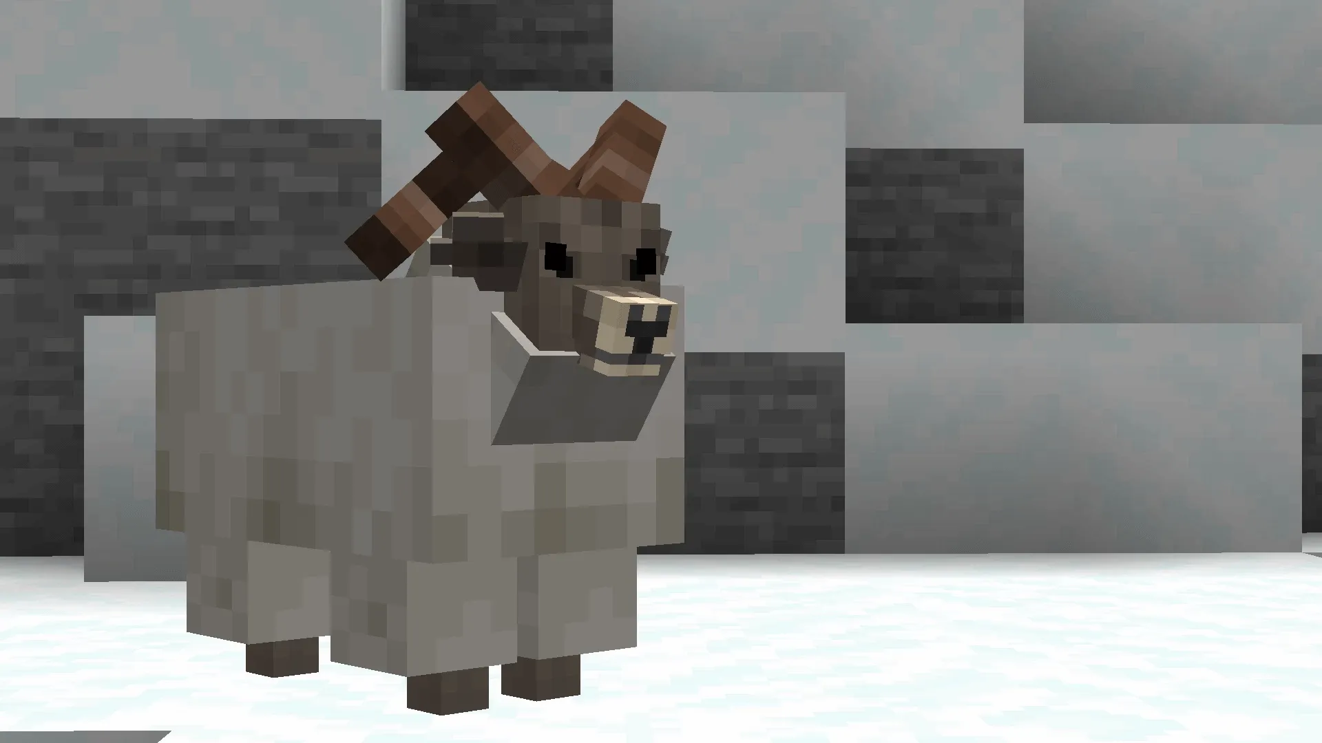 Вид горных баранов