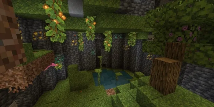 Дерево и трава