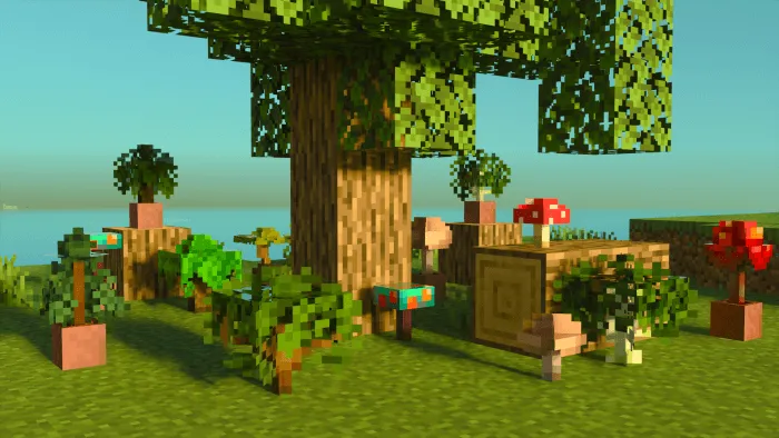 Вид саженцев